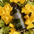 Captain Fawcett Eau de Parfum Triumphant