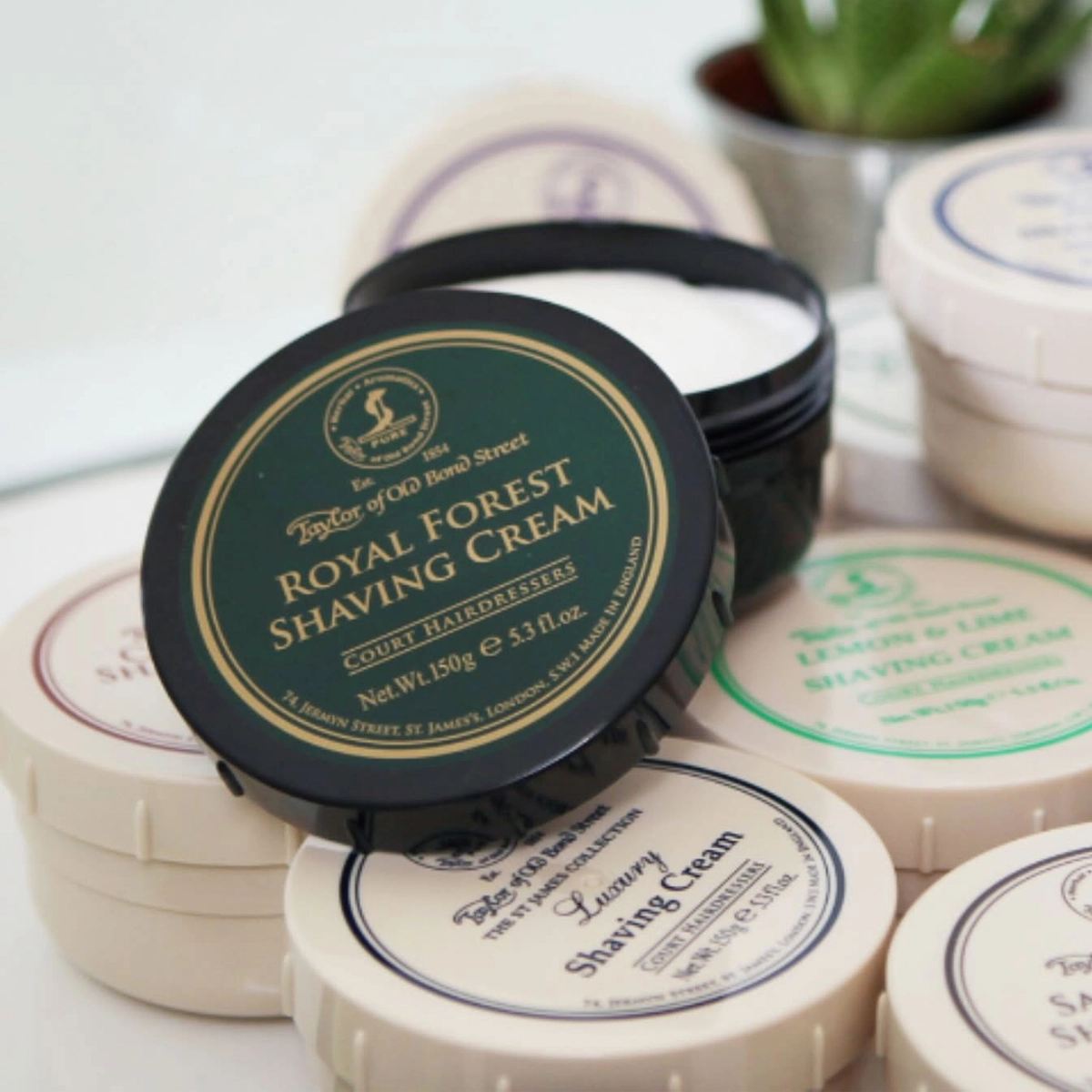 Taylor of Old Bond Street Shaving Cream Royal Forest